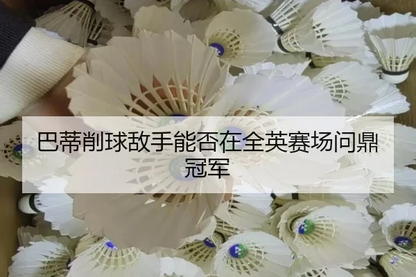 巴蒂削球敌手能否在全英赛场问鼎冠军